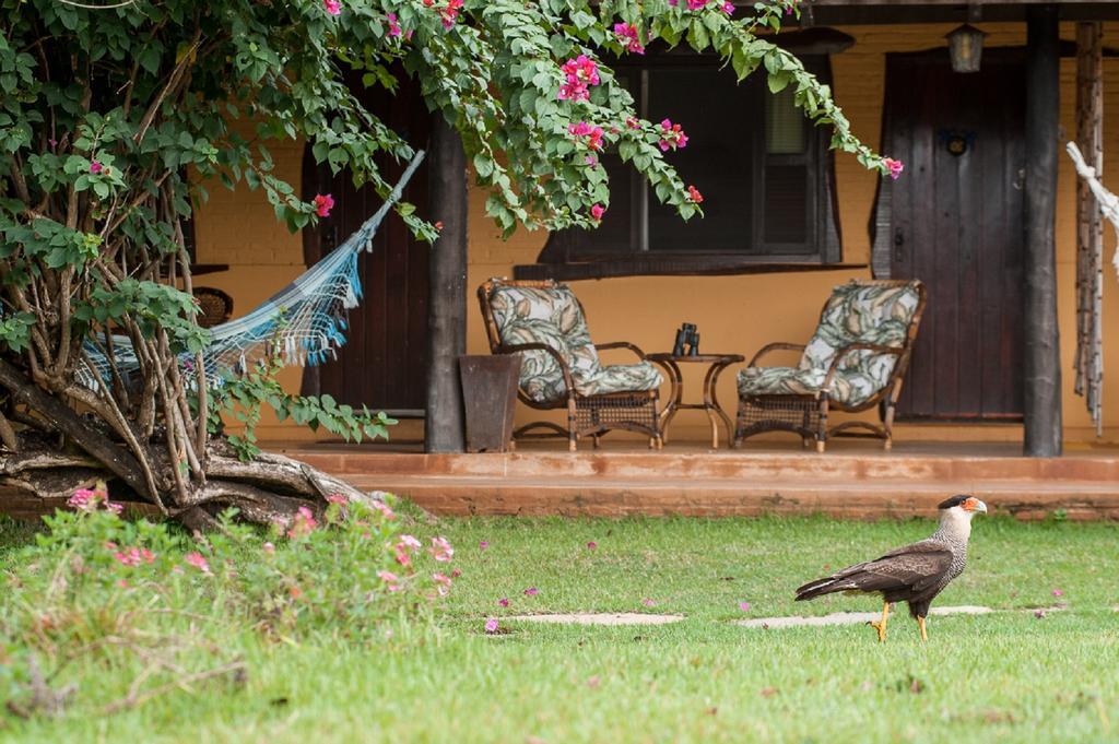 Pousada Araras Pantanal Eco Lodge Carvoalzinho Екстер'єр фото
