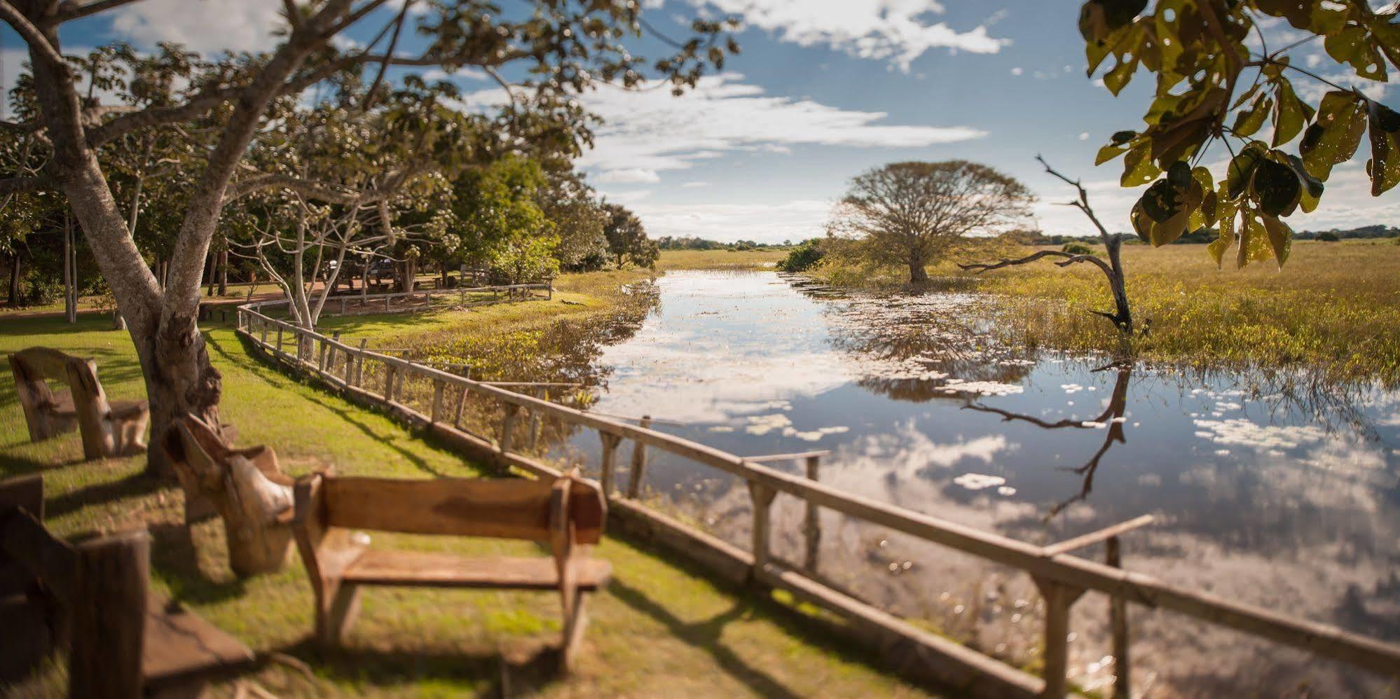 Pousada Araras Pantanal Eco Lodge Carvoalzinho Екстер'єр фото